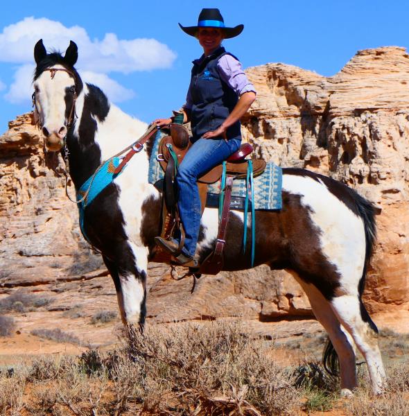 Tom Hefley Roping Click For Video